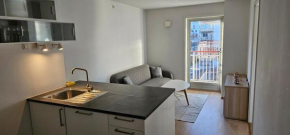 Central 4 bedrooom apartment
